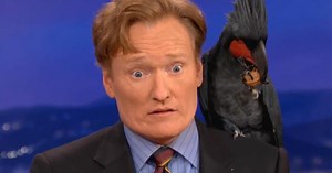 Top 10 Most Expensive Exotic Pets | Videos on WatchMojo.com