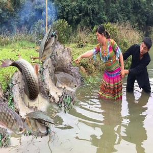 4.5K views · 232 reactions | Primitive life- Survival skills Find fish meeting big fish, pearls in mud pits- Fishing for survival - Wild Survival Daily | Animals Daily Life | Facebook