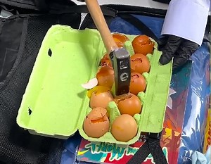 Unexpected language checking! | Green Bean