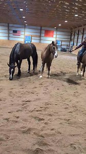 1.2K views · 66 reactions | I really enjoy working with all four horses at once. It's a pretty neat feeling to communicate with each one individually, and, on a group. We're getting there | Carey Govert | Facebook