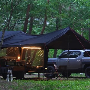 83K views · 2.8K reactions | Excellent weather today for my car camping on weekend with cute husky | Camping Videos | Facebook