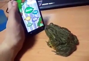 ouch that hurts: the frog bites a man's hand during the mobile app game