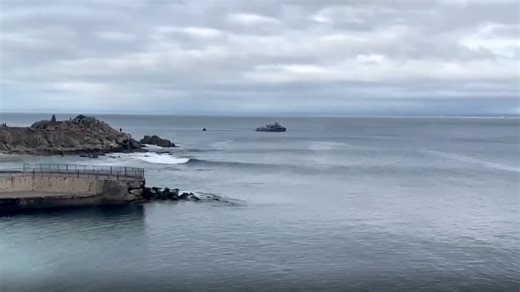 Body discovered after swimmer went missing in possible shark attack in California