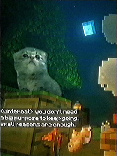 #cat #Minecraft | cat