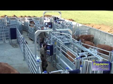 PASDELOU - Centre d'expérimentation et de formation de contention fixe pour bovins