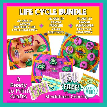 2D & 3D Life Cycle Bundle | Butterfly   Frog    Sunflower | Science Crafts