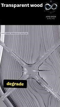 Whats an anisotropic wood - transparent wood - polymer #apeironseries #visualphysics