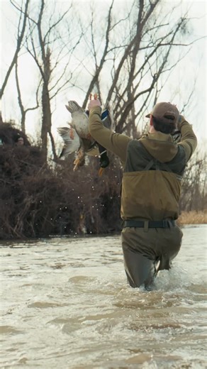 DayBreak® on Instagram: "Pure fun on this gorgeous Sunday — #duckhunting #hunting #waterfowl"