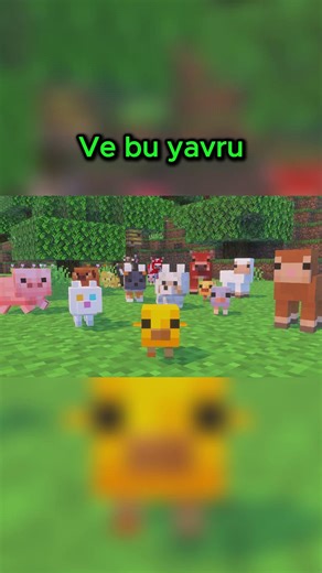 Minecraft has received a very sweet update!