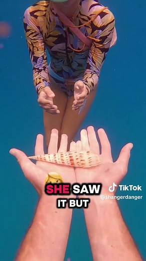 Treasure Hunting with Special Eyes Underwater