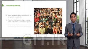 Social Processes That Influence Human Behavior