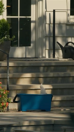 When your glass stinks, better call Pink’s | Pink's Windows North Atlanta