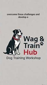 10 Essential Dog Training Tips Every Beginner Needs to Know