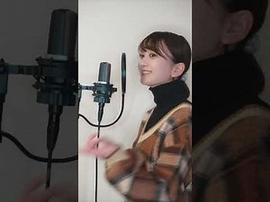 【作業用BGM】人気曲メドレー(Ado,カンザキイオリ,RADWIMPS etc...)【こぴ】