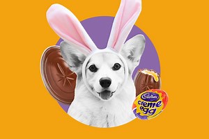 Cadbury Bunny Tryouts Are Back — Here's How Your Pet Can Win