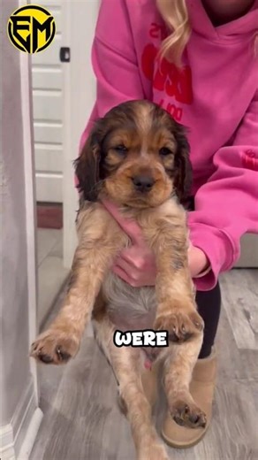 Girl rescues her cute little dogs #dog