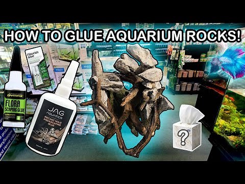 HOW TO GLUE AQUASCAPE ROCKS / DRIFTWOOD