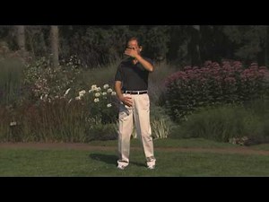 Moving of Yin & Yang with Master Chunyi Lin - Spring Forest Qigong