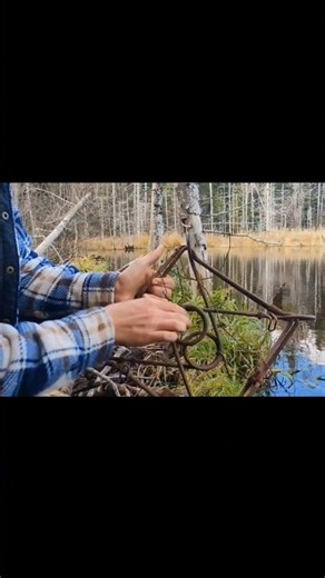 How to trap beavers with a 330 conibear trap. #trapping #survival #selfsufficiency #bushcraft