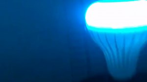 Watch lit on Amazon Live