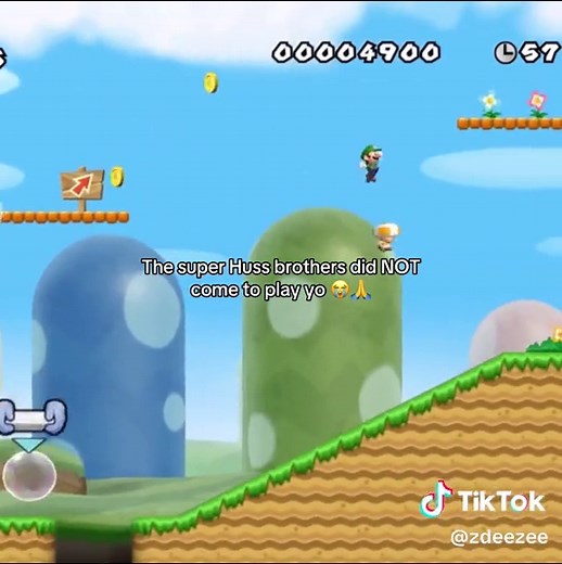 Mario Bros Wii highlights: Super Huss brothers gameplay