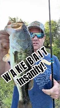 Fishing a Wake Bait after the Top Water Bite Dies - Largemouth Bass Grass Summer Fishing!