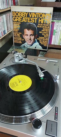 바비 빈튼 MR LONELY