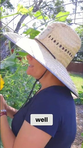 Easy Squash Pollination: Hand-Pollinating For Beginners