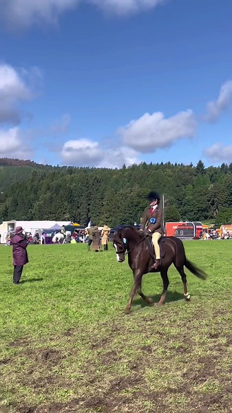 pinocchio went footperfect yeserday at nps scotland finals for 2nd in a strong novice a&b class out of 19 entries!!💘 #annandalepinocchio #fyp #viral #horse #pony #welshsecb #welshpony #welshmountainpony #2024 #blairhorsetrials #blair #blairinternationalhorsetrials #slowmoedits #100klikes💪🔥💯✌