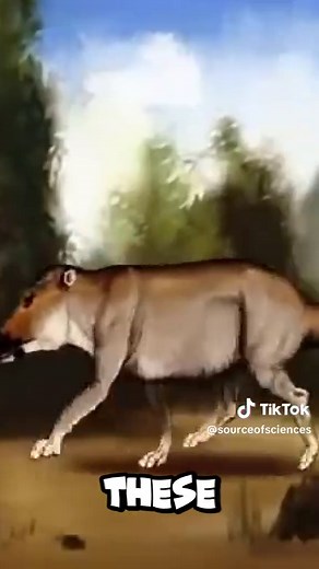 The Surprising Evolution of Whales #ocean #sciencefacts #evolution