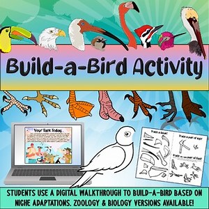 Build-a-Bird Lab: a bird adaptations and design activity
