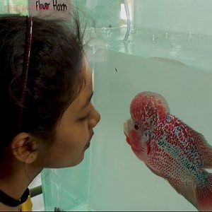 A fish exhibition in Mumbai highlighted the challenges faced by the world's marine life. It featured more than 400 species of fish to create awareness about threats including pollution, which are killing these beautiful creatures. | China Plus Culture