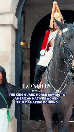 10K views · 112 reactions | Explore the deep spiritual connection between Native tribes and horses, their loyal companions and vital part of their spiritual life. Discover the significance of horses in American and UK tribes. #horse #america #native #spirit #spirituality #unitedkingdom #kingsguard #black #horsesoftiktok #girl #horsegirl #viral #trending #fyp #foryou #foryoupage #capcut #american #uk #europe | Native American Indians | Facebook