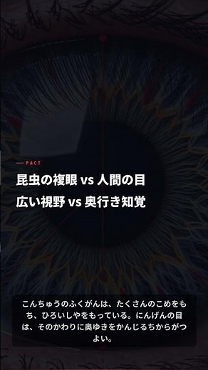 【EP08】昆虫の複眼 vs 人間の目👁️ 奥行き知覚の科学