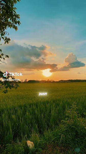 Chill Story with CapCut Music Essentials