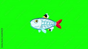 X-ray fish swimming cartoon animated character greenbox. Good for any animation as main hero or background.