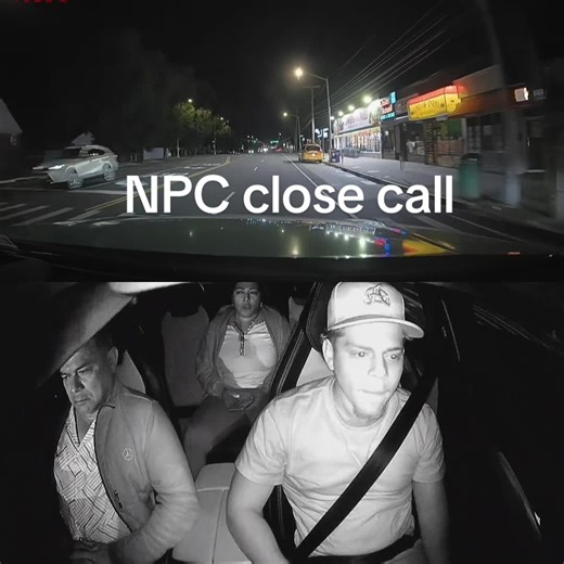 Funny Insurance Story: You Hit a What?!