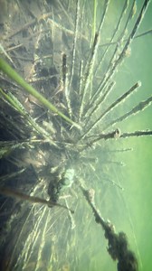 Big waters or hidden spots, the Limited Edition Arctic Grey CHIRP 2 brings clarity cast after cast. 🌊 Secure yours at a special discount – stock won’t last long! 🐟🎯 #LimitedEdition #CHIRPplus2 #ArcticGrey #DeeperSonar | Deeper