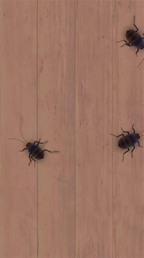 Video for cats to watch! #gamesforcats #gatify #gamesonscreen #kitten #catstv #kittensoftiktok #videosforcats