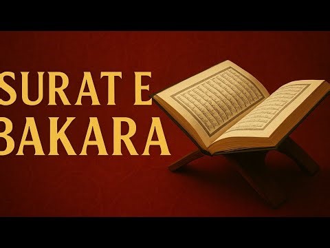 Beautiful Recitation of Surat e Bakara #viral ##quranrecitation #beautiful #support