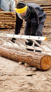 Chainsaw Cutting Tip | Science, Tech and Universe