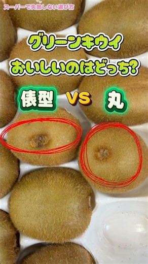 グリーンキウイおいしいのはどっち？俵型？丸型？
