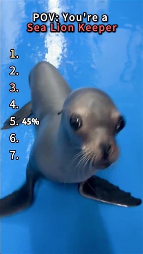 Sea Lions Pulling Hilarious Moves Anytime#SeaLion#Viral#fyp#funny#viral
