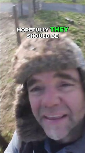 putting post in with a post rammer