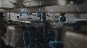 Animation Bacteria Cells Over Diverse Chefs Stock Footage Video (100% Royalty-free) 1100750081 | Shutterstock