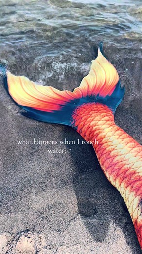 #mermaid #realmermaid #merfolk #mermaidsoftiktok #mermaidtiktok