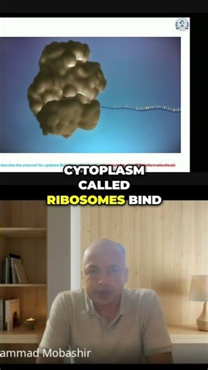 mRNA and protein Synthesis #videos #biology #neet #science #biology #viralvideo #viral