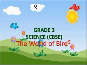 Beaks of birds| types of beaks| the world of birds| evs grade 3| part 3