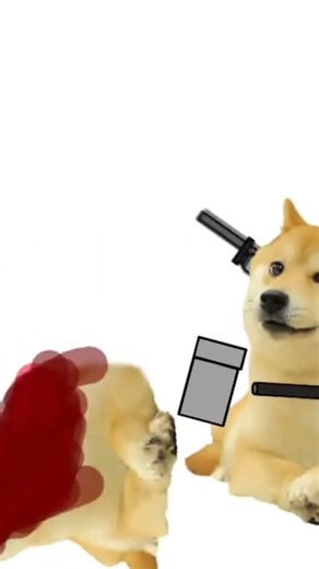 doge combat test animation [short]