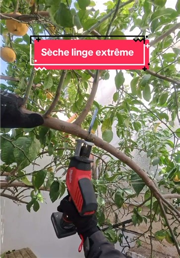 Installation réussie d'un étendoir extérieur